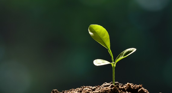ISO 14001 wp tiles