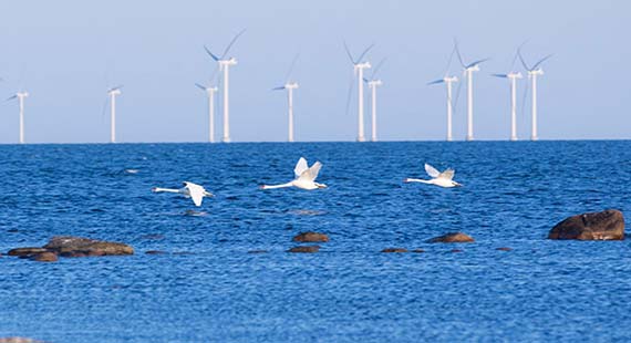 Floating windfarms